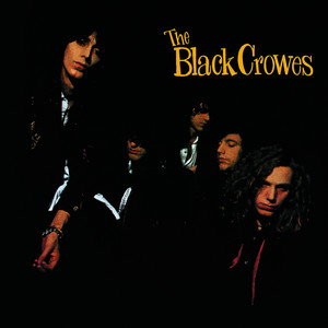 The Black Crowes — Shake Your Money Maker (1990). The debut album and the one they've been touring in its entirety on the 30th anniversary run — blues rock, Southern rock, big riffs, "Hard to Handle" as perfect a cover as any band has recorded.